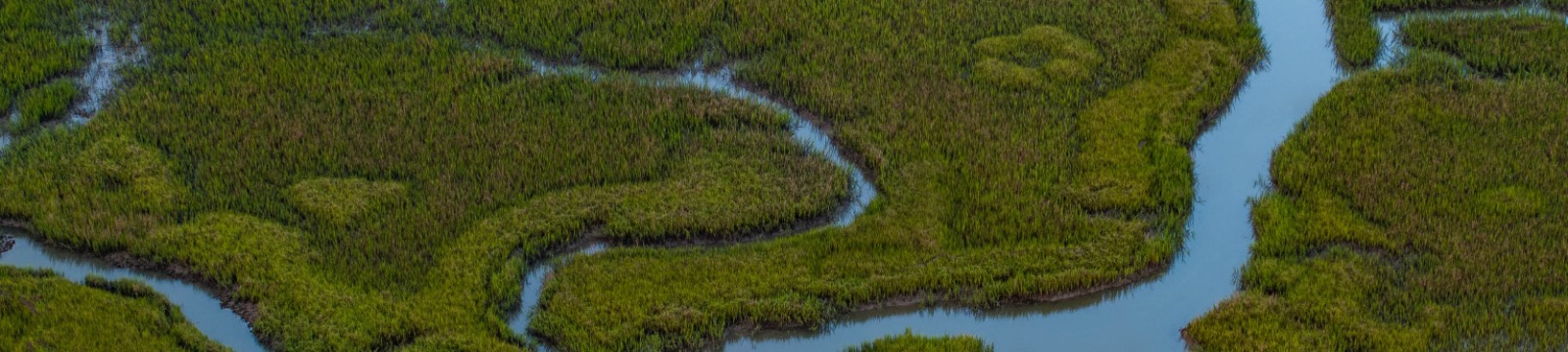 Marsh