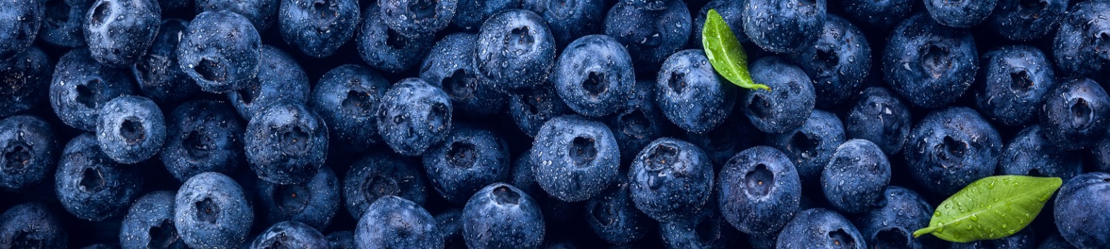 close up of blueberries
