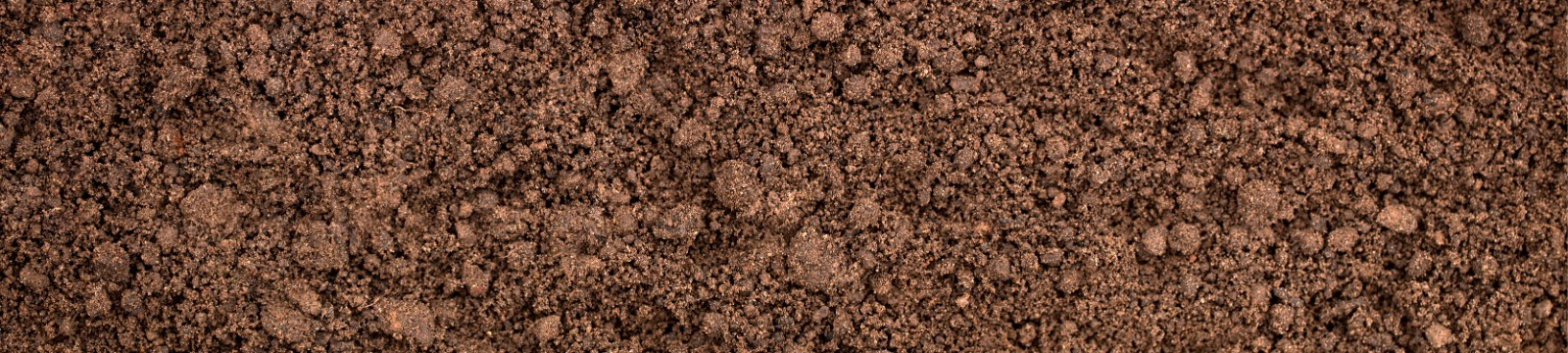 SubPage Header
soil