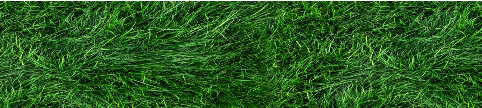 green grass